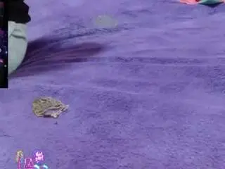 Camsoda Adult Webcam of alexafontana