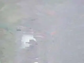 Camsoda Live Sex of squirtonmyass