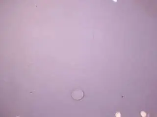 Camsoda Free Live Porn of estef-love