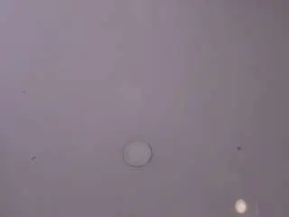 Camsoda Adult Webcams of estef-love