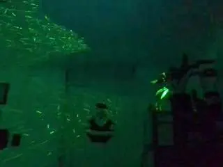 Camsoda Watch Live Sex Cams of oralloop