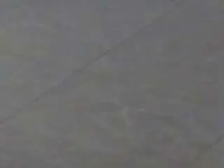 Camsoda Live Sex of voyeurcam-casa-salsa-parlor
