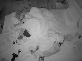 Camsoda Nude Webcam of voyeurcam-julmodels-whitebed-3