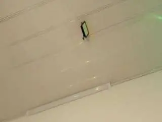 Camsoda Nude Webcam of elizabeth-ellie