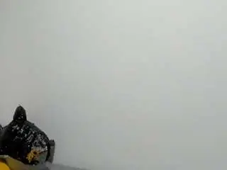 Camsoda Best live sex cam show of antomouthparadise