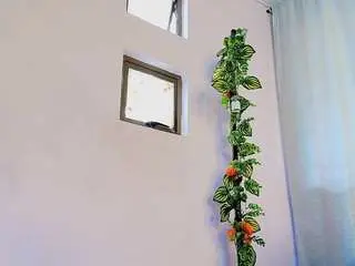 Camsoda Adult Webcams of liccy-hall