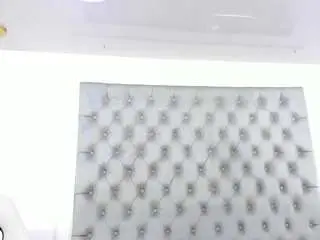 Camsoda Live Sex Cam of anette-cooper