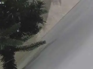 Camsoda Adult Webcam of voyeurcam-casa-salsa-kitchen