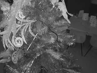 Camsoda Nude Webcam of voyeurcam-casa-salsa-kitchen