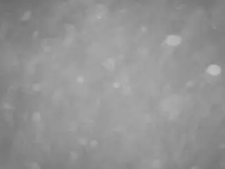 Camsoda Sex Cam of voyeurcam-casa-salsa-pool-1