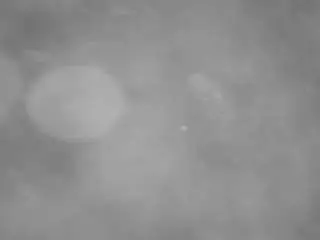 Camsoda Adult Webcam of voyeurcam-casa-salsa-pool-1