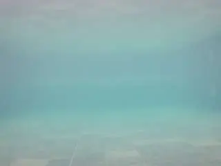 Camsoda Best Webcam of voyeurcam-casa-salsa-pool-1