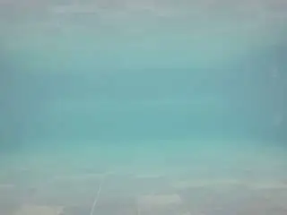 Camsoda Live Sex of voyeurcam-casa-salsa-pool-1