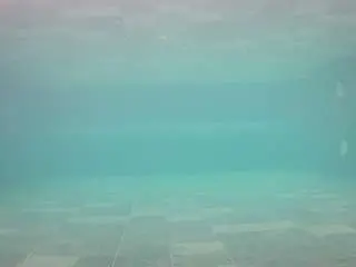 Camsoda Live Sex Cam of voyeurcam-casa-salsa-pool-1