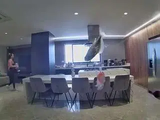 Camsoda Live Sex Cam of voyeurcam-casa-salsa-fishtank