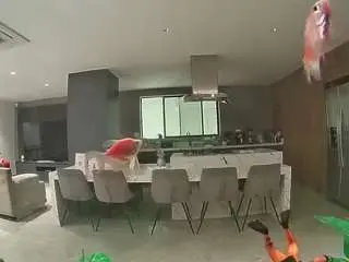 Camsoda Free Live Porn of voyeurcam-casa-salsa-fishtank