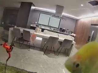 Camsoda Private Sex Chat of voyeurcam-casa-salsa-fishtank