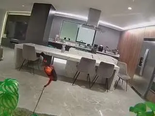 Camsoda Adult Video Chat of voyeurcam-casa-salsa-fishtank