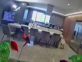 Camsoda Sex Cam of voyeurcam-casa-salsa-fishtank