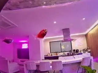 Camsoda Adult Webcam of voyeurcam-casa-salsa-fishtank