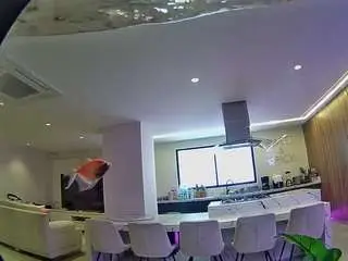 Camsoda Free Live Porn of voyeurcam-casa-salsa-fishtank