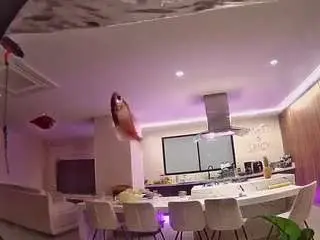 Camsoda Adult Video Chat of voyeurcam-casa-salsa-fishtank