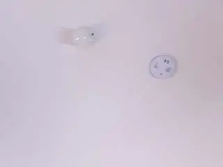 Camsoda Private Sex Chat of maddieparker