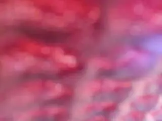 Camsoda Best live sex cam show of sweetcupcaks