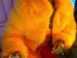 Camsoda Sex Chat of briannabrave