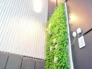 Camsoda Nude Webcam of laylabbw