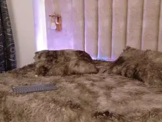 Camsoda Live Porn of giselle-rossi