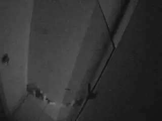 Camsoda Best Webcam of voyeurcam-casa-salsa-bathroom-7