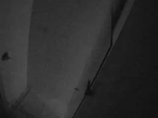 Camsoda Adult Webcam of voyeurcam-casa-salsa-bathroom-7