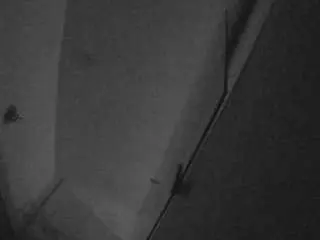 Camsoda Adult Webcams of voyeurcam-casa-salsa-bathroom-7