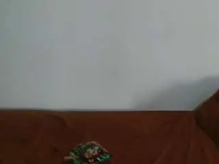 Camsoda Sex Cam of chocammy696