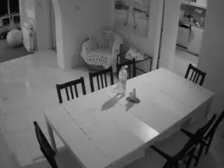 Camsoda Sex Chat of voyeurcam-julmodels-dining