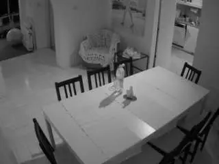 Camsoda Nude Webcam of voyeurcam-julmodels-dining