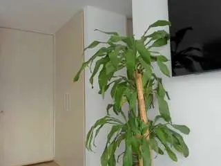 Camsoda Nude Webcam of charlotte-tillerx