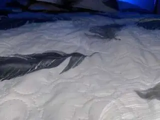 Camsoda Live Sex Cam of katrina-hot69