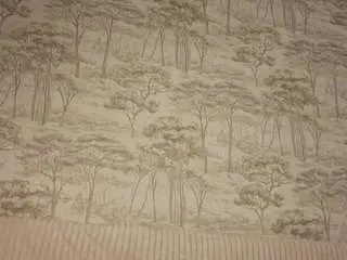 Camsoda Adult Video Chat of celestinechakkalakal