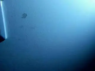 Camsoda Free Porn Cam of valeria-marquez69