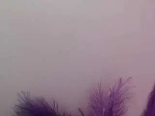 Camsoda Live Sex of queen-rousse