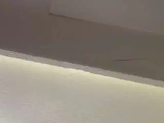 Camsoda Sex Cam of 420wildcard