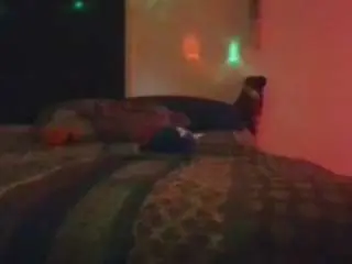 Camsoda Live Porn of antonettekiki