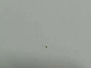 Camsoda Live Sex Cam of lilybenet1