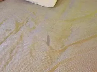 Camsoda Adult Webcams of britneyswiss