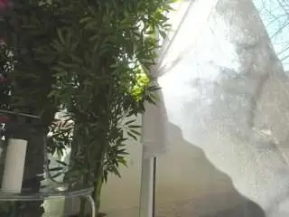 Camsoda Adult Video Chat of lexistorm