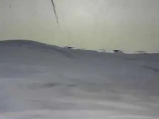 Camsoda Free Live Porn of thickpetite