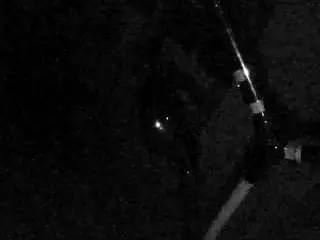 Camsoda Sex Cam of voyeurcam-charleys-bathroom