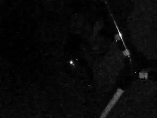 Camsoda Sex Chat of voyeurcam-charleys-bathroom